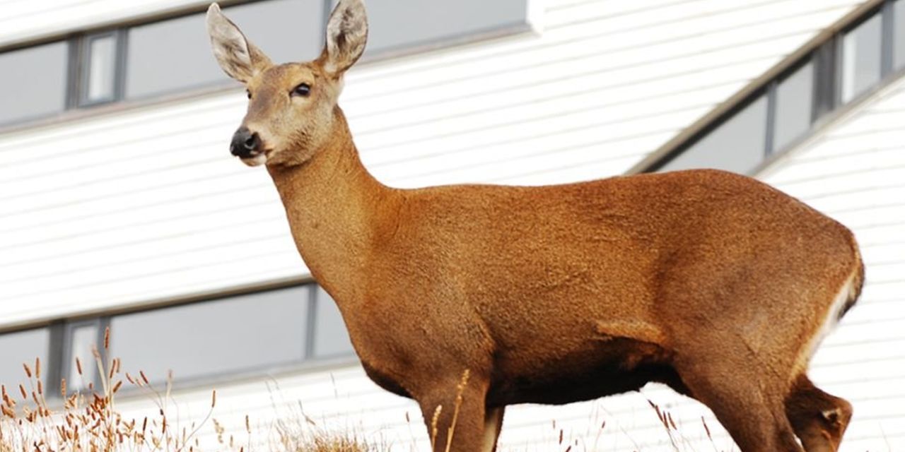 Explora Torres del Paine Patagonia