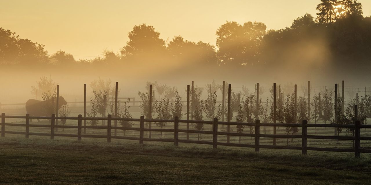 Belmond Le Manoir aux Quat' Saisons