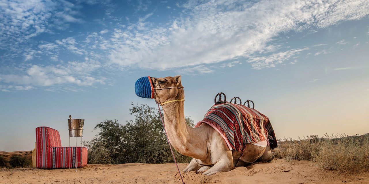 The Ritz Carlton Ras Al Khaimah, Al Wadi Desert