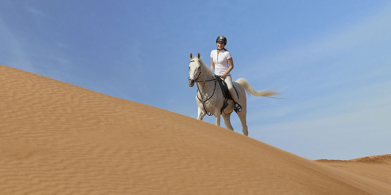 The Ritz Carlton Ras Al Khaimah, Al Wadi Desert