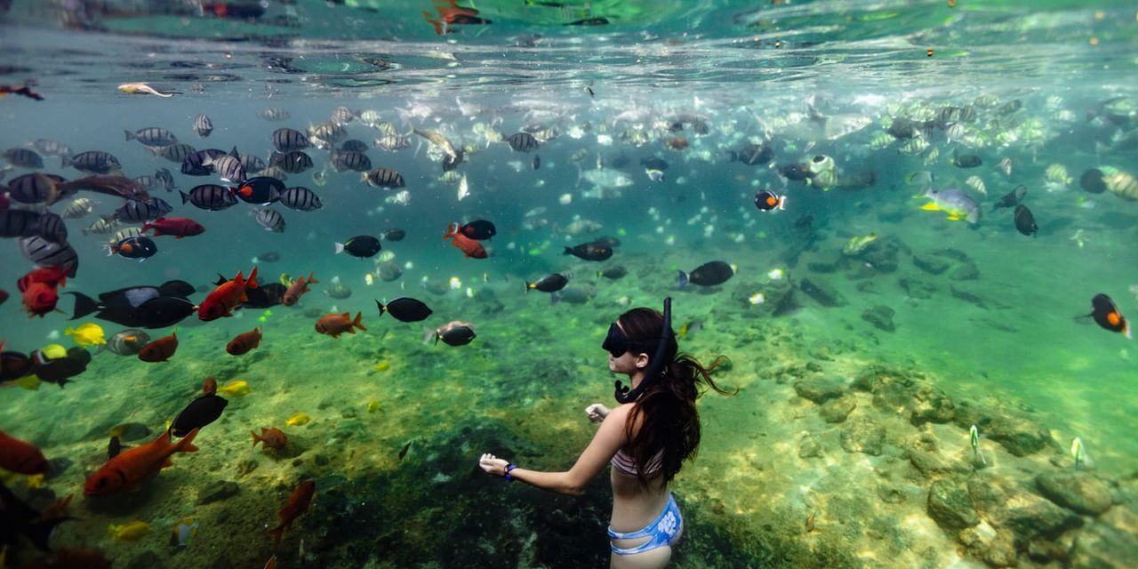 Four Seasons Resort Hualalai