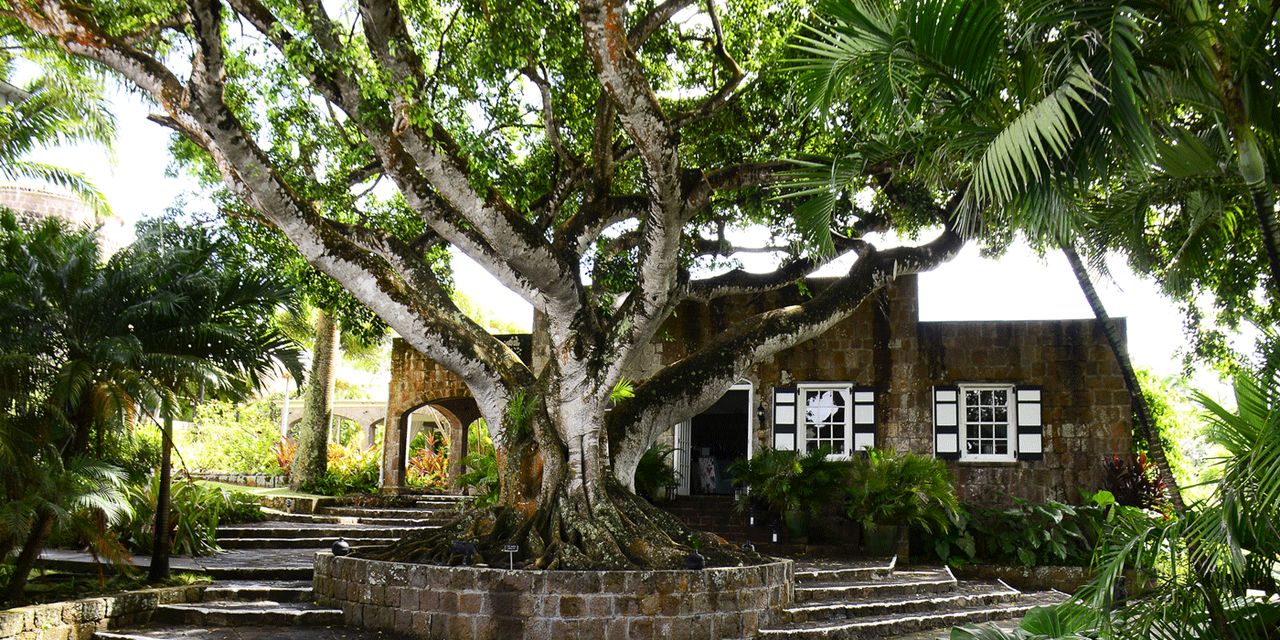 Montpelier Plantation & Beach