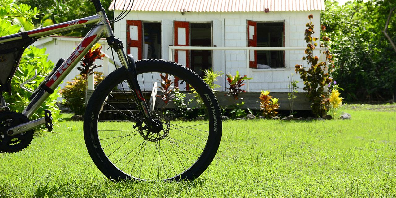 Montpelier Plantation & Beach