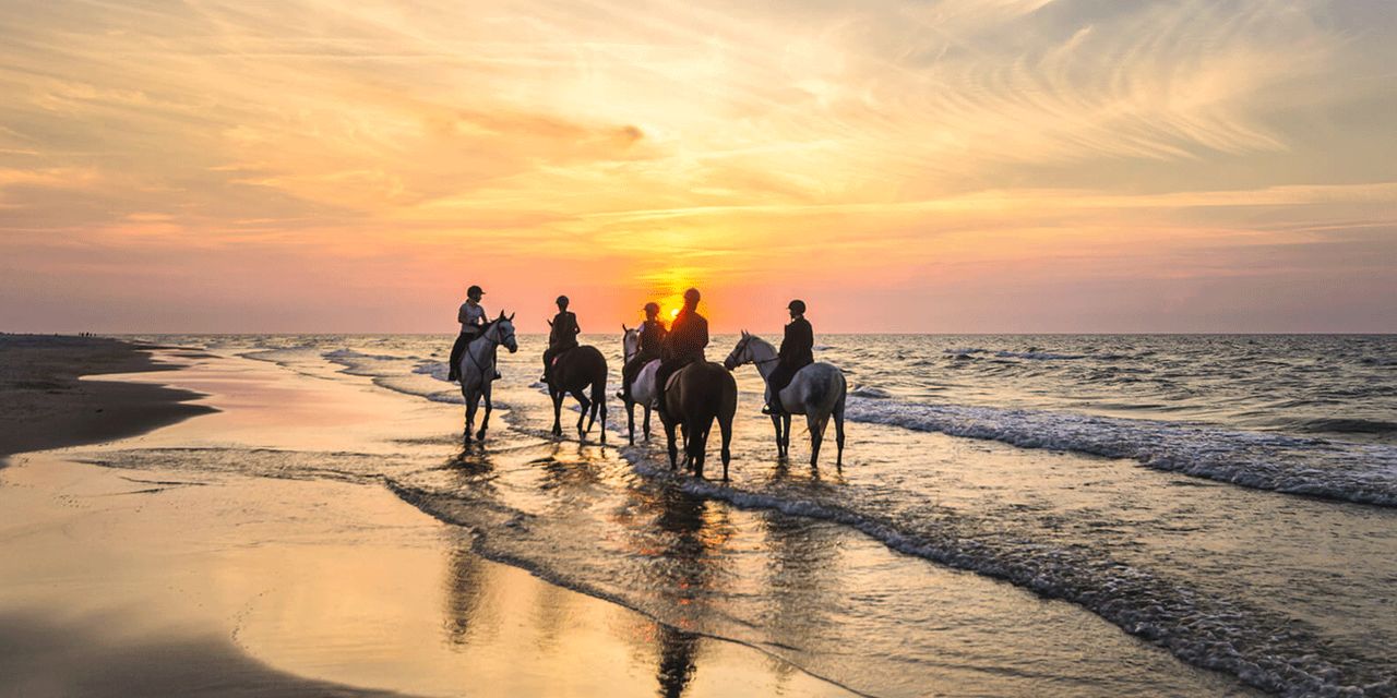 Casa Chameleon Mal Pais