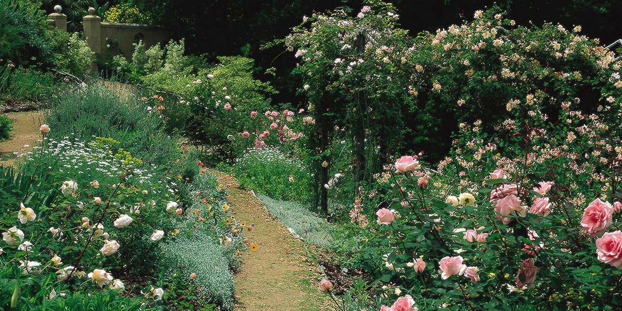 The Cellars-Hohenort