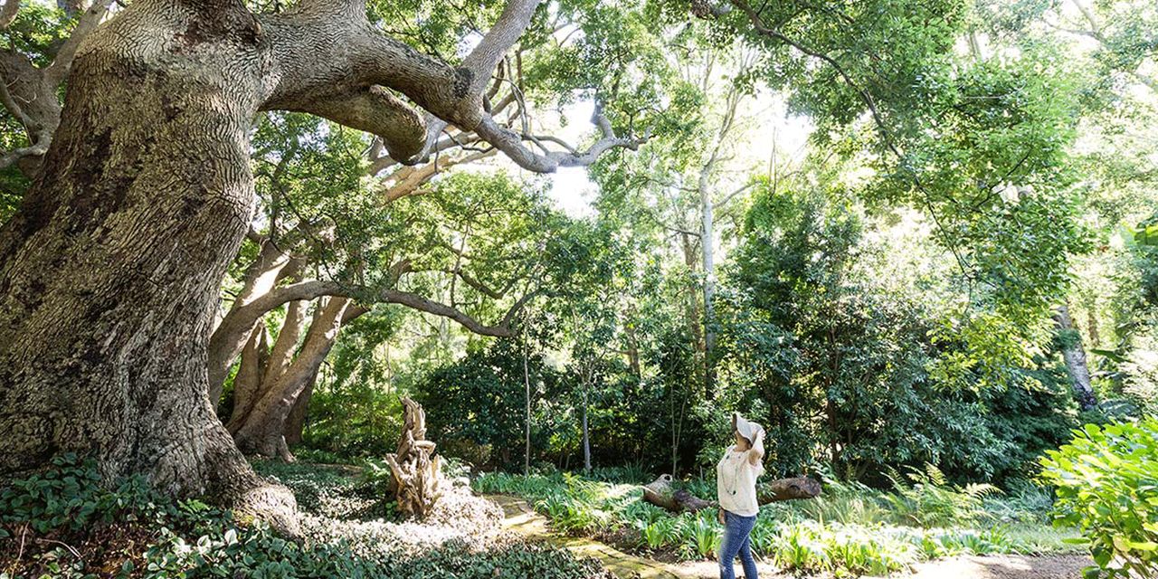 The Cellars-Hohenort