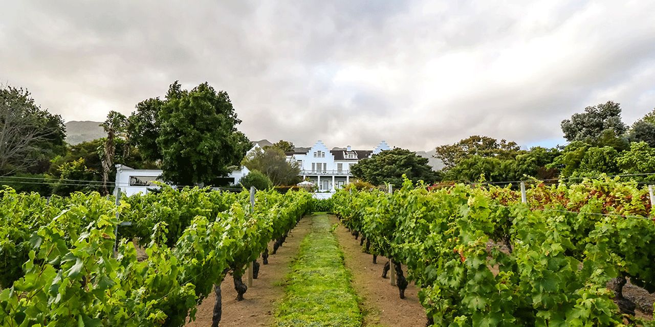 The Cellars-Hohenort