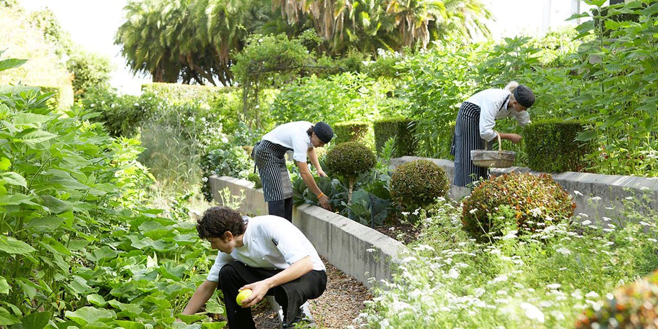 The Cellars-Hohenort