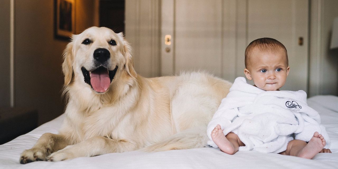 Fairmont Hotel Vancouver