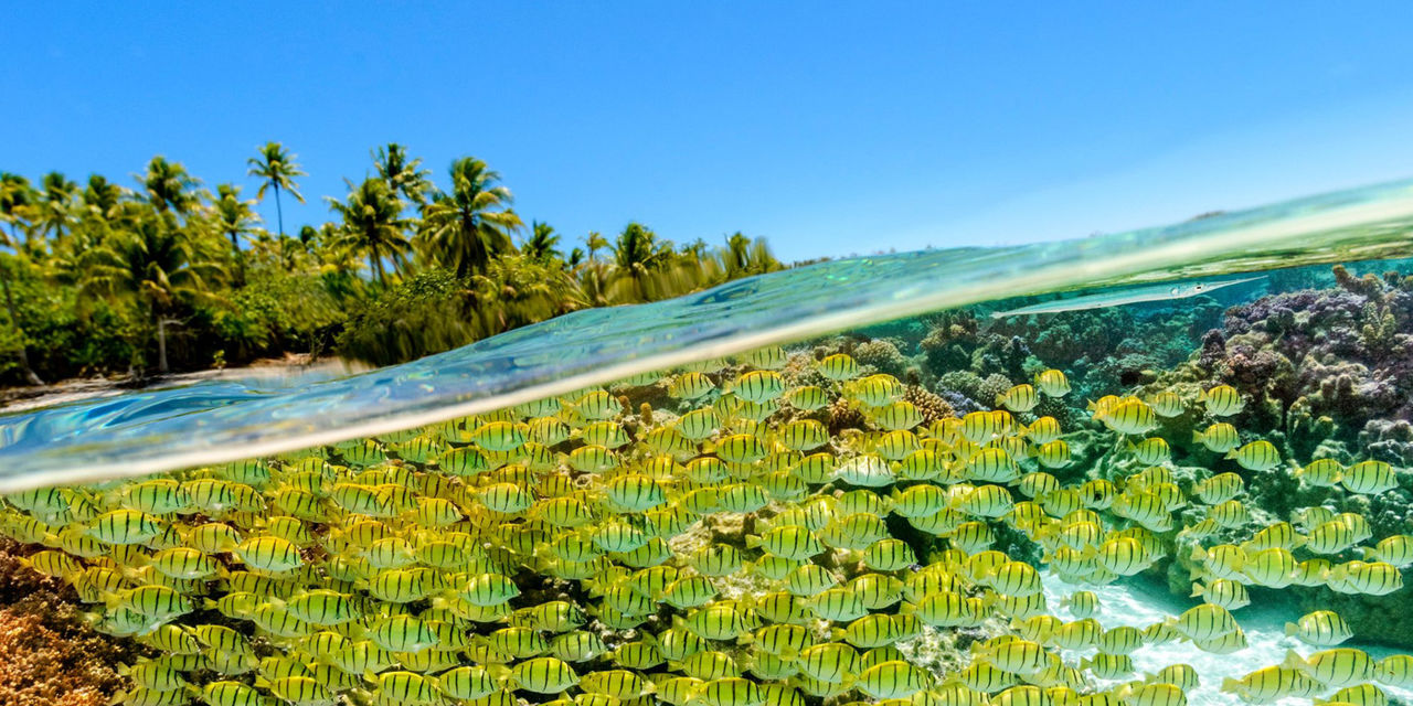 Le Taha'a Island Resort & Spa