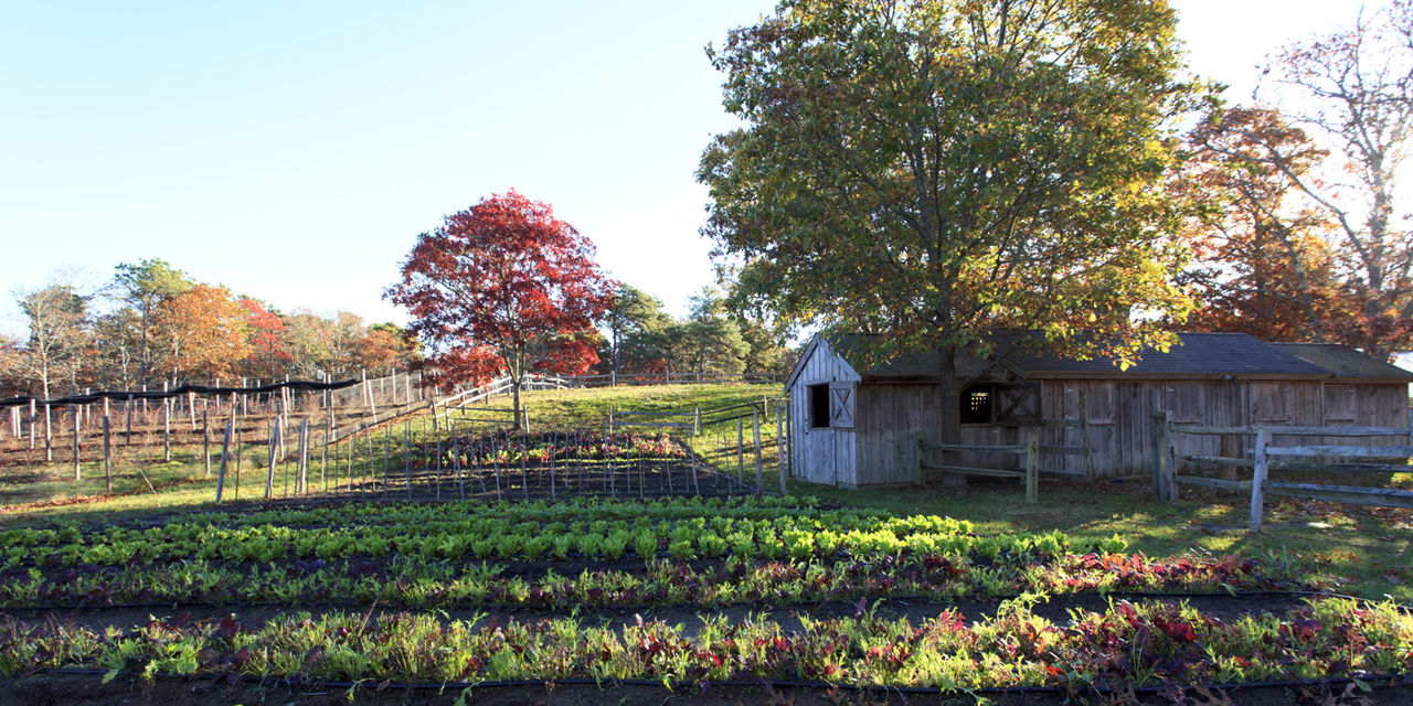 Chatham Bars Inn Resort and Spa