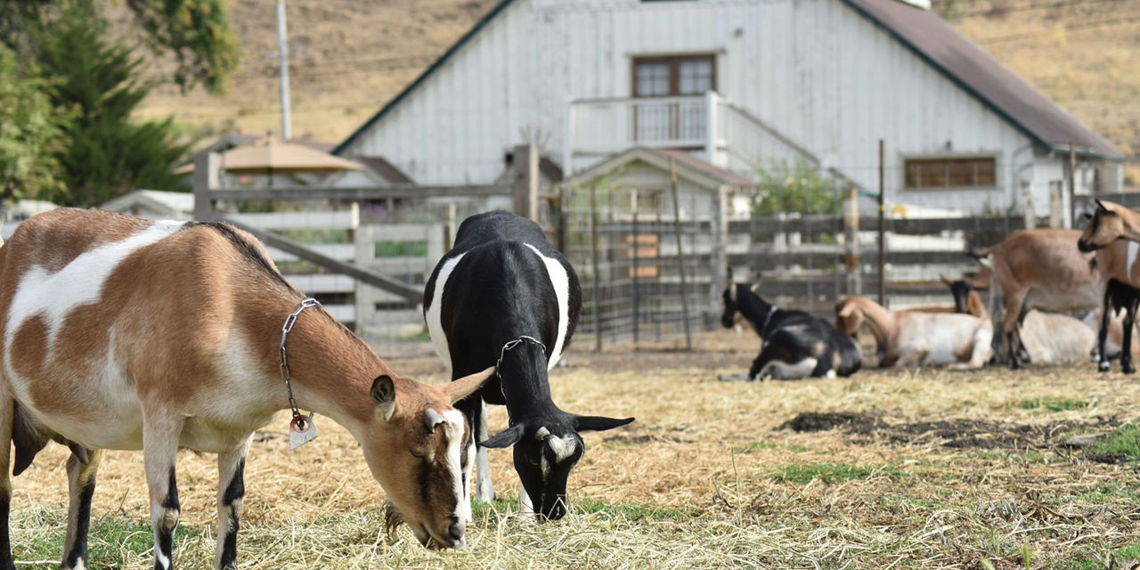 The Ritz-Carlton, Half Moon Bay