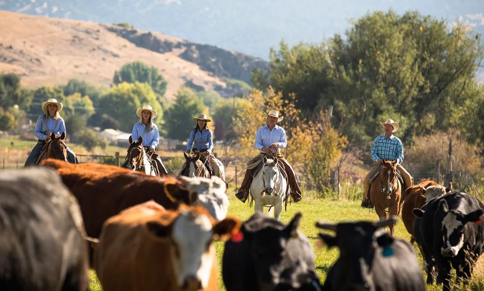 The Lodge At Blue Sky, Auberge Resorts Collection