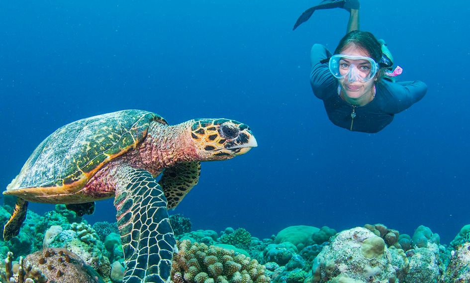 InterContinental Maldives Maamunagau Resort