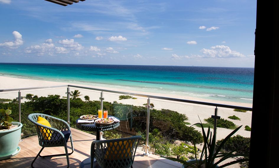 Palmaia, The House of AiA