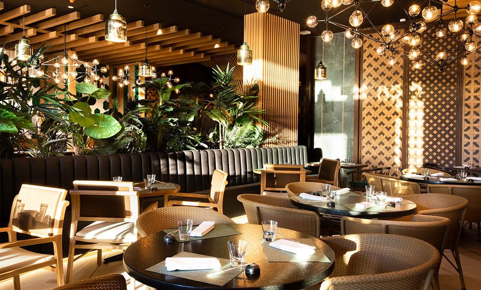 Palmaia, The House of AiA