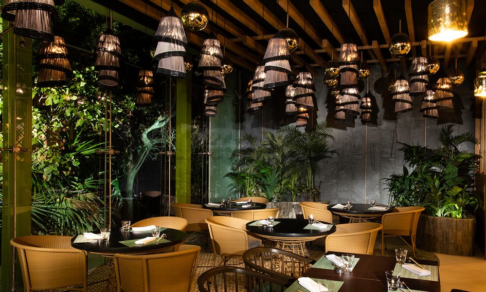 Palmaia, The House of AiA