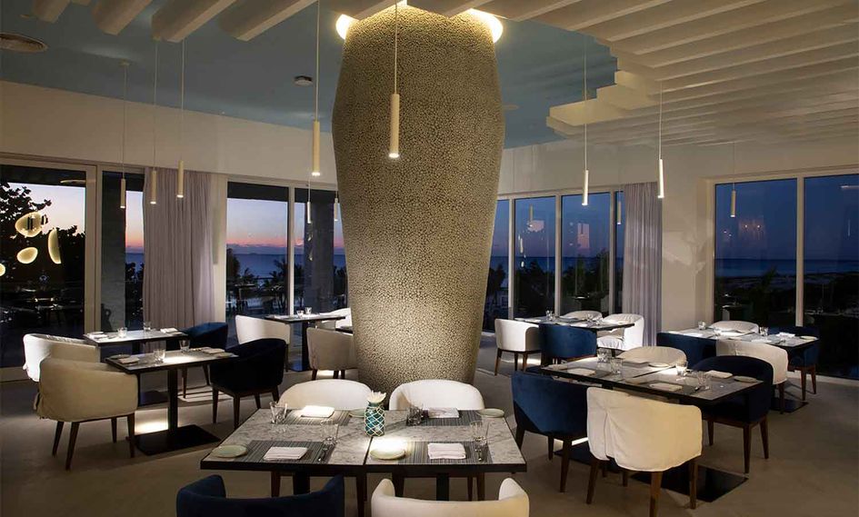 Palmaia, The House of AiA