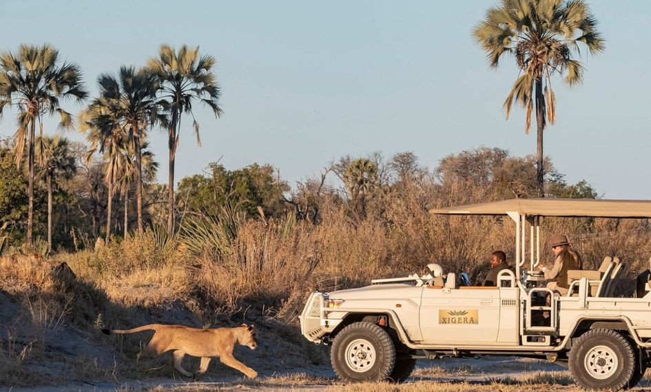 Xigera Safari Lodge