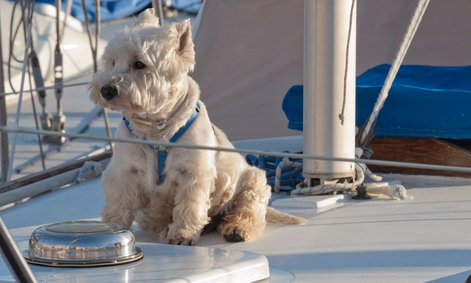 Spruce Point Inn Resort & Spa