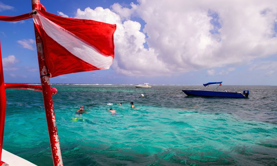 Alaia Belize, Autograph Collection