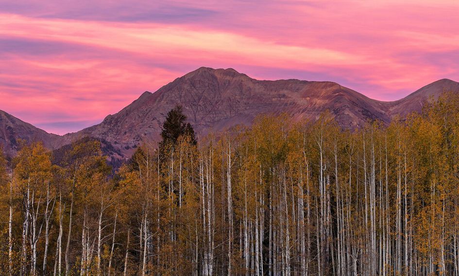 Elevation Hotel & Spa