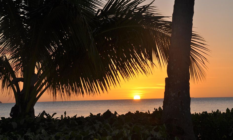 Nukubati Private Island