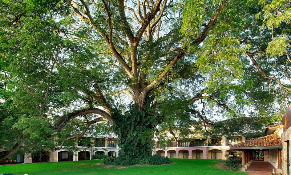 The Buenaventura Golf & Beach Resort Panama, Autograph Collection