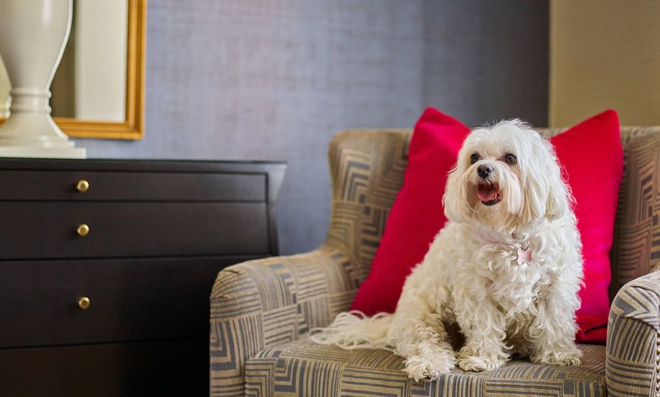 The Brown Palace Hotel and Spa, Autograph Collection