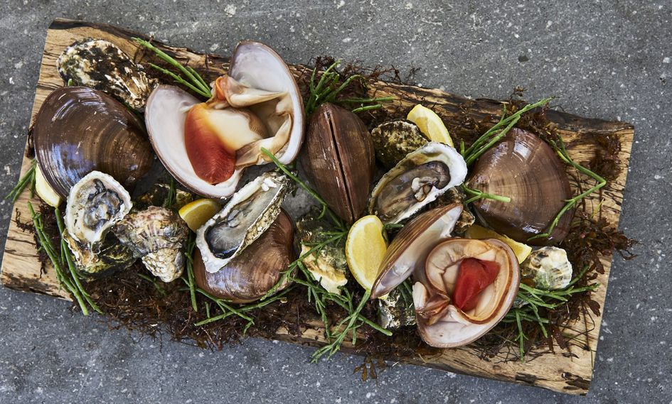 Etereo, Auberge Resorts Collection