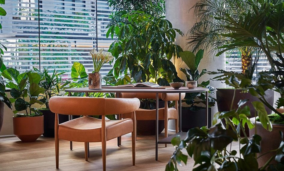 Pendry Manhattan West