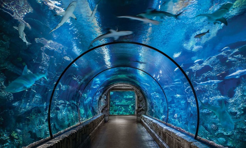 Mandalay Bay Resort & Casino