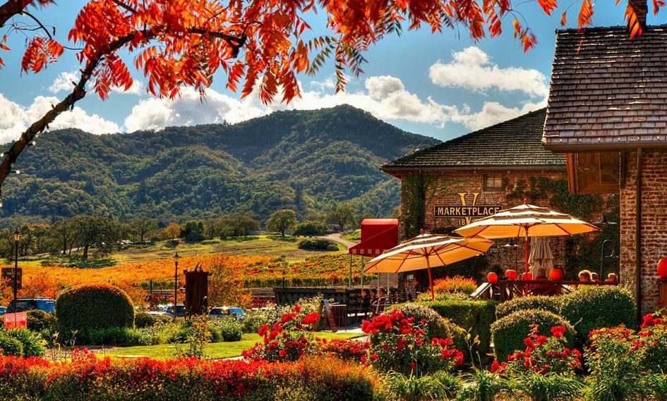 Vintage House At The Estate Yountville in Yountville, California