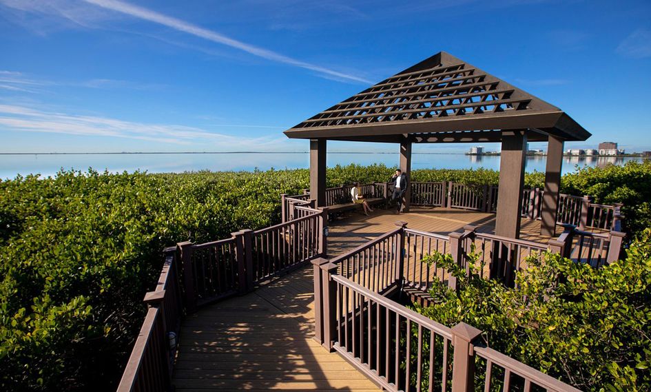 Grand Hyatt Tampa Bay