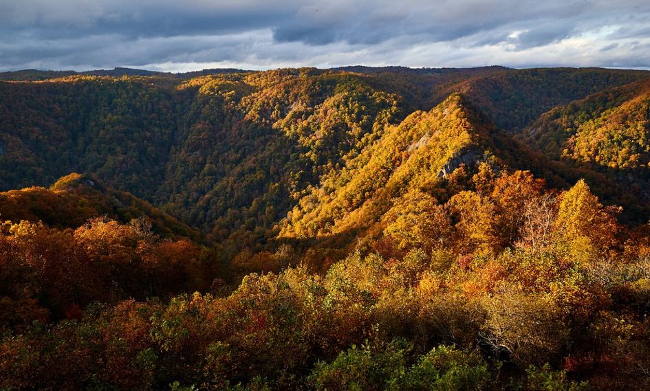 Primland Resort, Auberge Resorts Collection