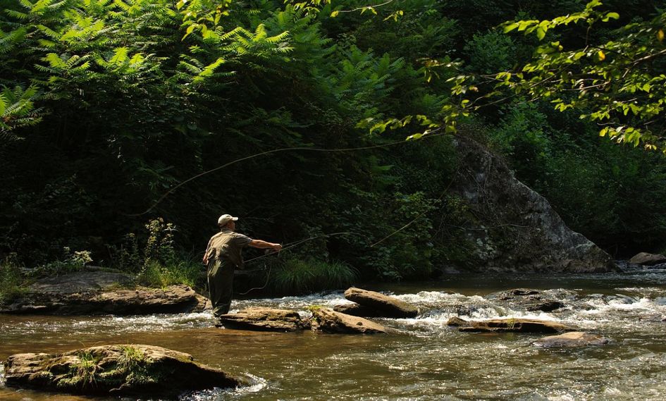 Primland Resort, Auberge Resorts Collection