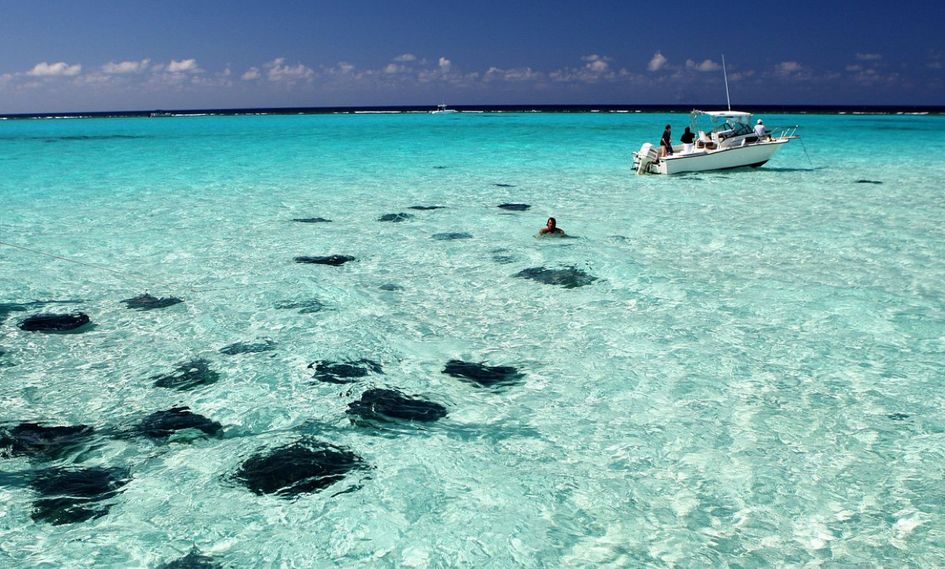 Kimpton Seafire Resort + Spa