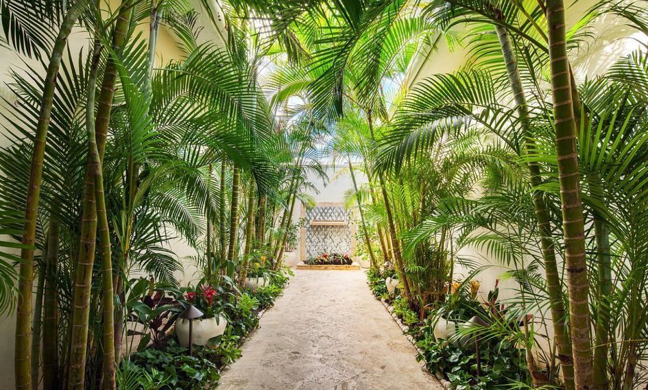 The St. Regis Bahia Beach Resort, Puerto Rico