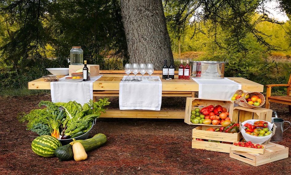Abadia Retuerta LeDomaine