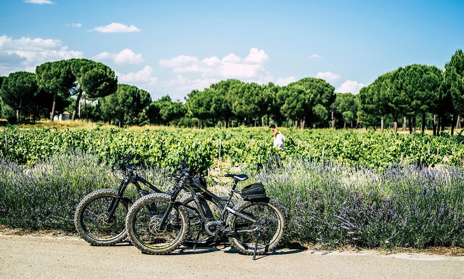 Abadia Retuerta LeDomaine