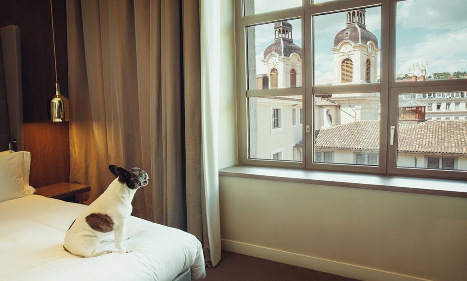 InterContinental Lyon - Hotel Dieu