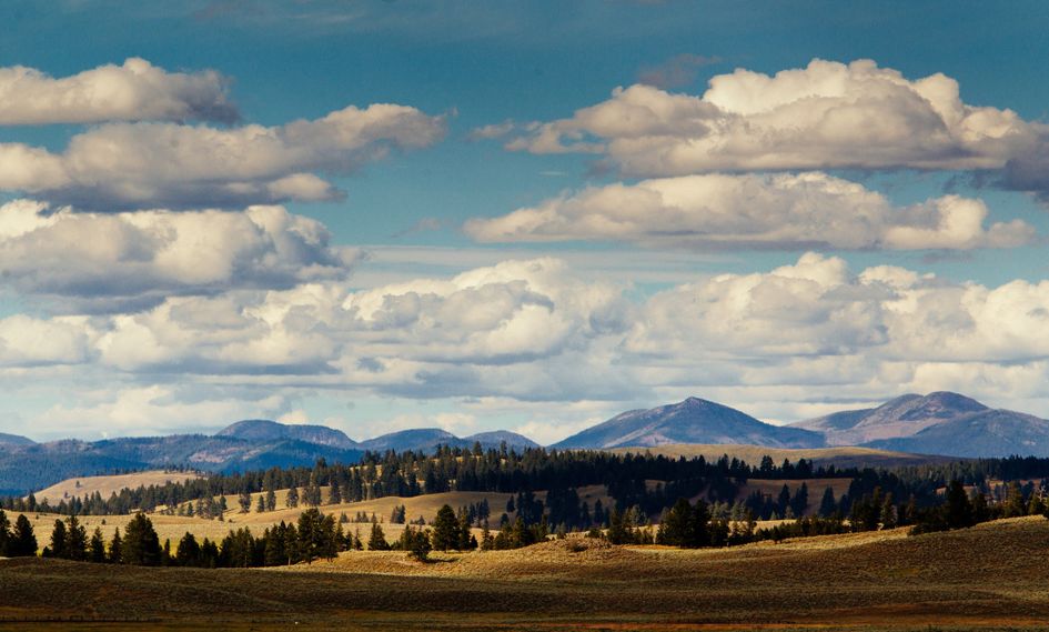 The Resort at Paws Up