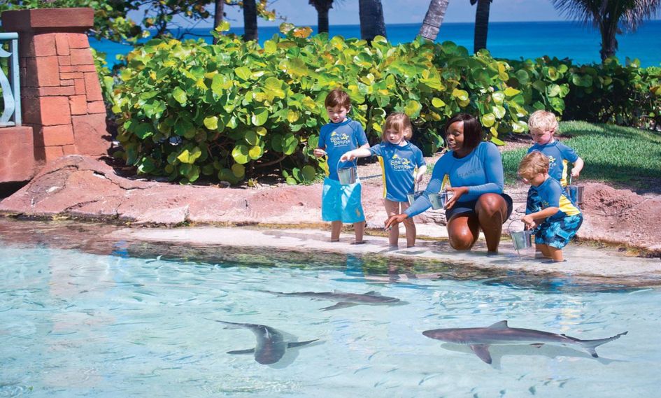 The Royal at Atlantis