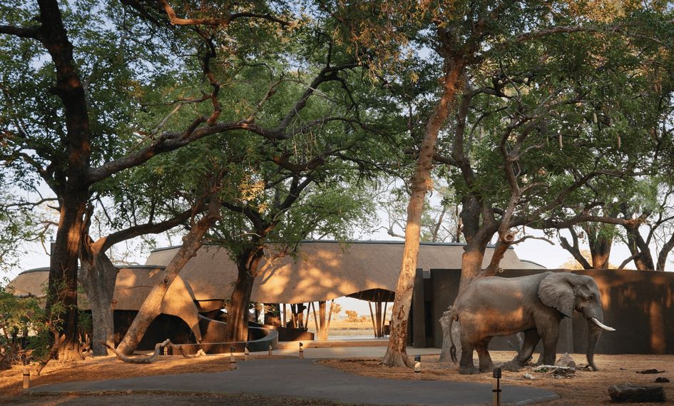 Eagle Island Lodge, A Belmond Safari, Botswana