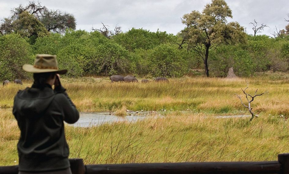 Khwai River Lodge, A Belmond Safari, Botswana