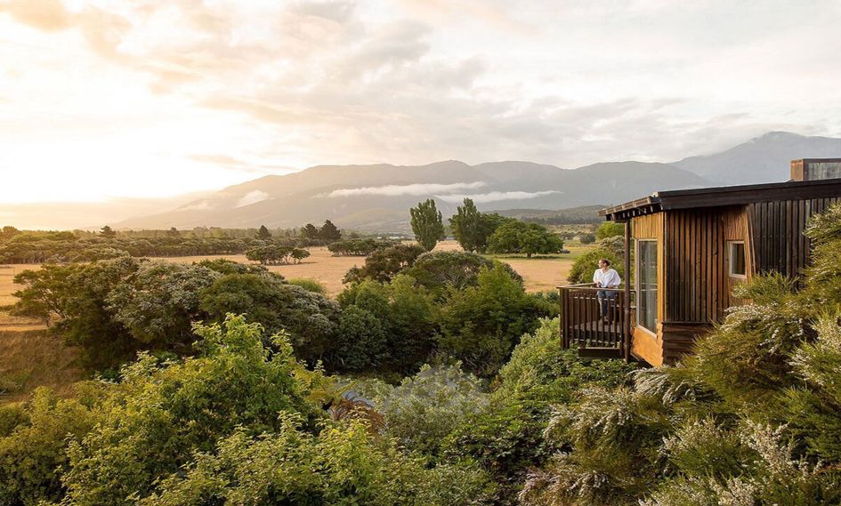 Hapuku Lodge & Tree Houses