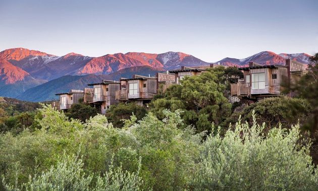 Inside New Zealand's adults-only tree hut spa