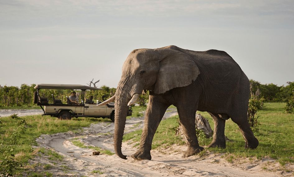 Savute Elephant Lodge, A Belmond Safari, Botswana