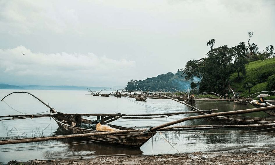 One&Only Nyungwe House