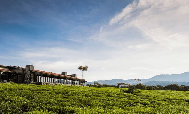 Nyungwe, Rwanda,One&Only Nyungwe House